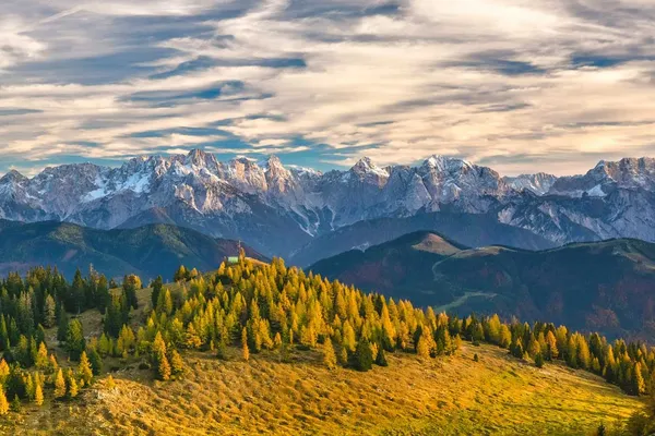 Promovieren Österreich