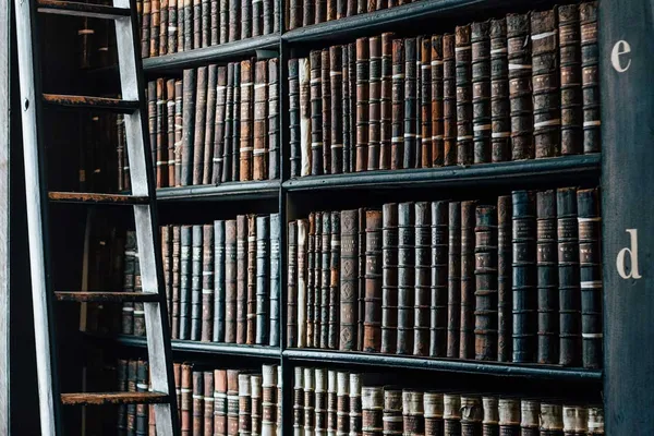 Studium LITERATURWISSENSCHAFT