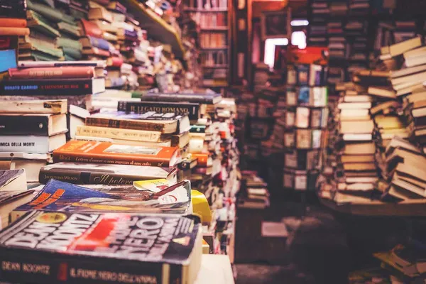 Coaching Literaturrecherche