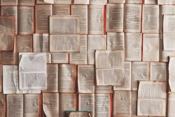 Literaturrecherche durchführen