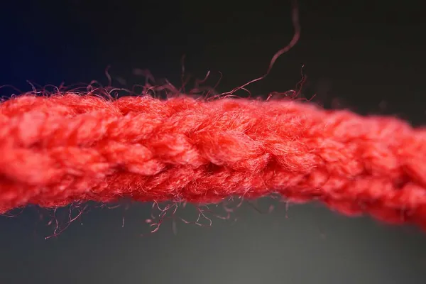 Roter Faden in einer wissenschaftlichen Arbeit