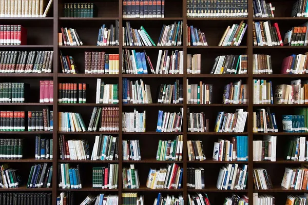 Sekundärliteratur für die Masterarbeit