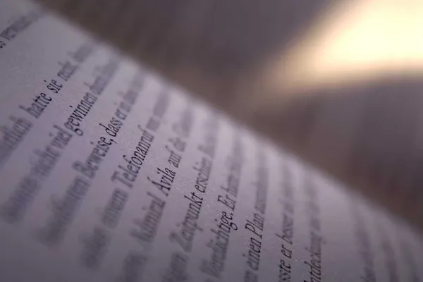Richtiges Lesen wiss. Arbeiten