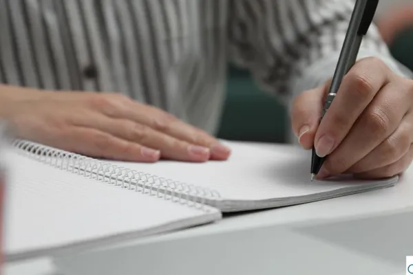Kumulative Dissertation